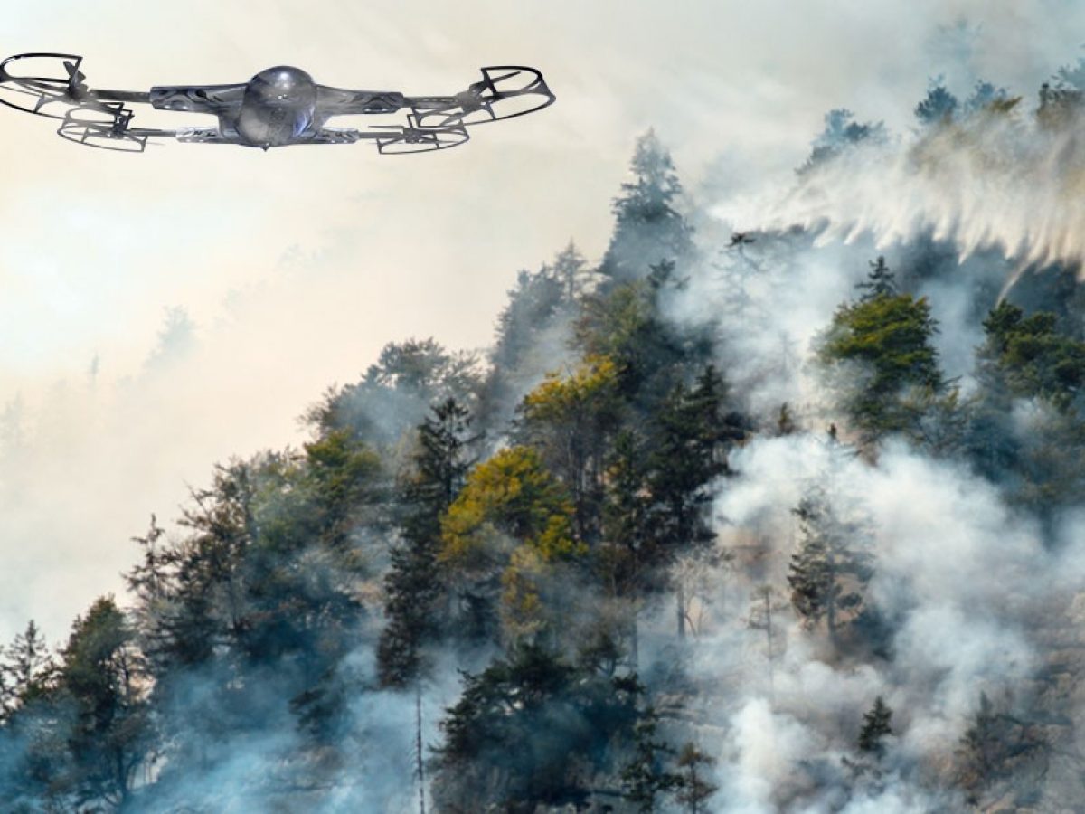 Emergency Response Pilot Programme